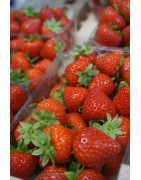 Fruits